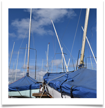 DSC_1519 - Gilli